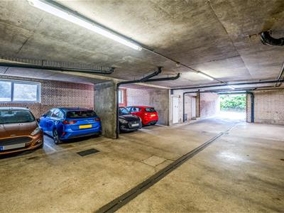 Picture 20